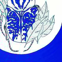 Image 3 of Besouro Azul