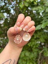 Image 1 of Silver Shell Hoops
