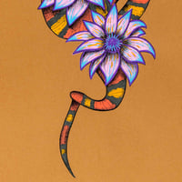 Image 3 of Cobra Mandacaru Marrom