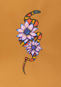 Image 1 of Cobra Mandacaru Marrom