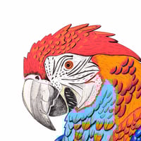 Image 2 of Papagaio