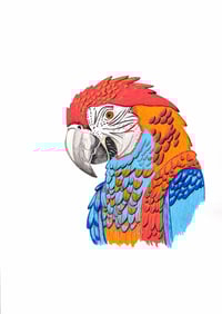 Image 1 of Papagaio