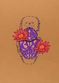 Image 1 of Besouro Mandacaru Marrom