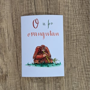 Image of O is for Orangutan