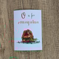 Image 2 of O is for Orangutan