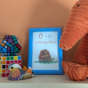 Image of O is for Orangutan