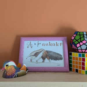 Image of A is for Anteater