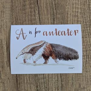 Image of A is for Anteater