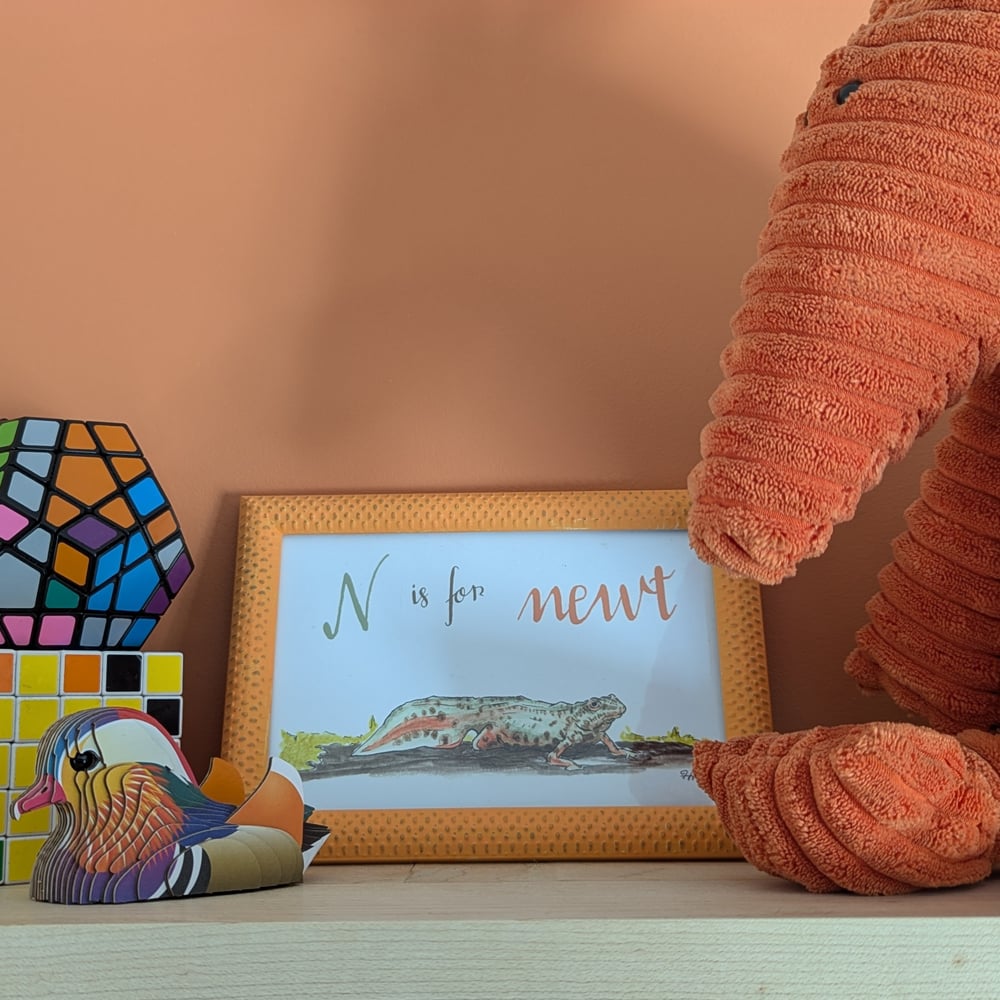 Image of N is for Newt