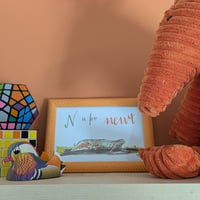 Image 1 of N is for Newt