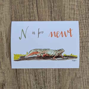 Image of N is for Newt