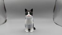 Image 2 of PATATA THE CAT 