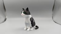 Image 1 of PATATA THE CAT 