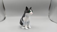 Image 3 of PATATA THE CAT 