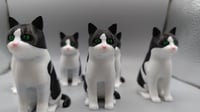 Image 5 of PATATA THE CAT 