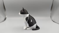Image 4 of PATATA THE CAT 