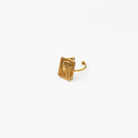 Image 1 of BAGUE_20