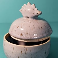 Image 5 of Boite Stegosaure