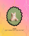 Little Bear: Zuzu