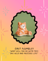 Little Bear: Chet Plumbley