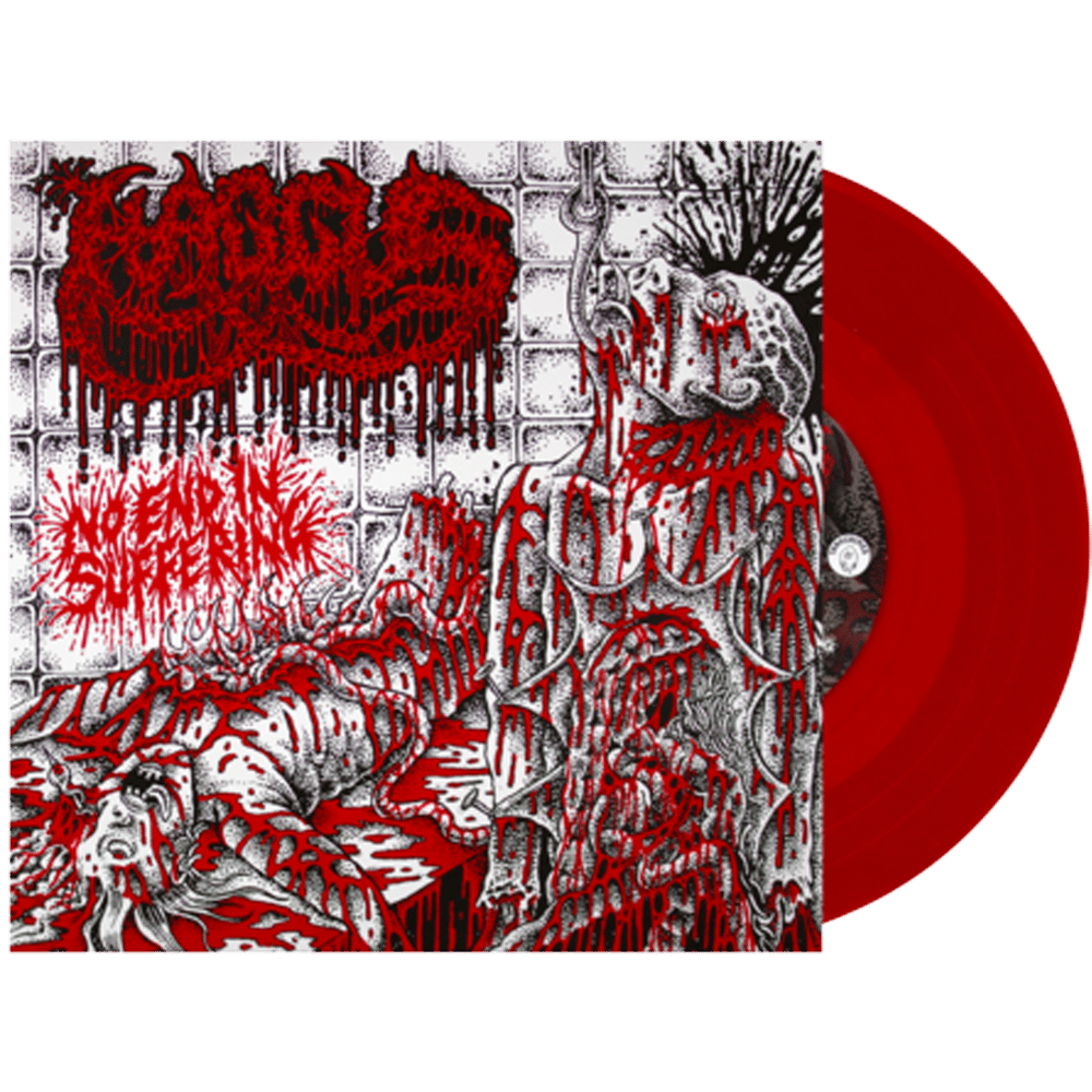No End In Suffering 7"