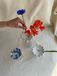 Image 2 of P A L O M A 