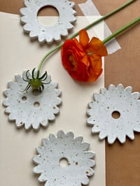 Image 1 of P A L O M A 