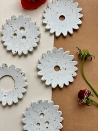 Image 4 of P A L O M A 