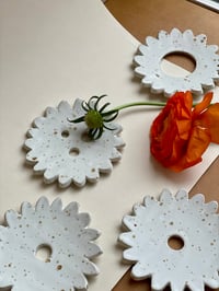 Image 5 of P A L O M A 