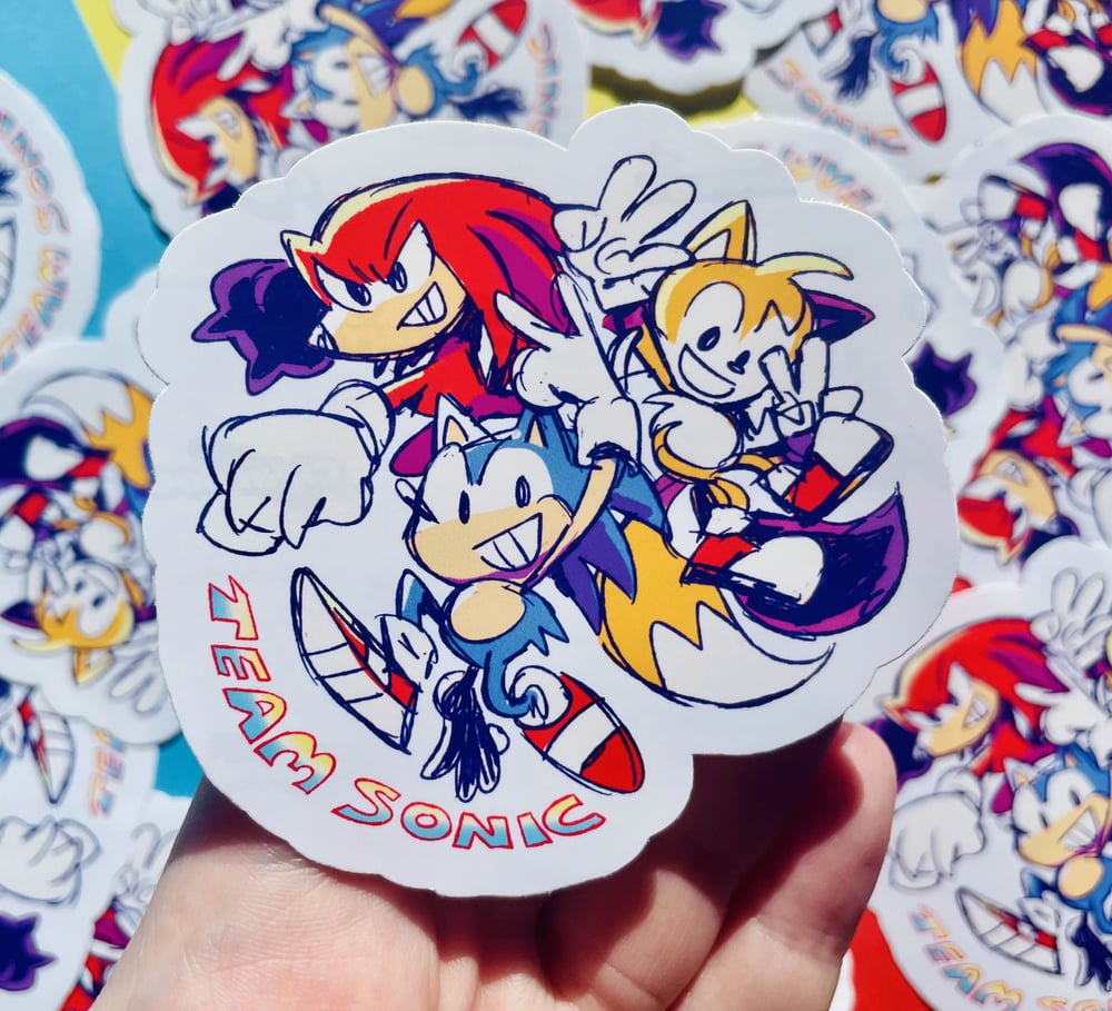 Sonic Heroes Vinyl Stickers