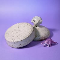 Image 5 of Boite Triceratops Pyrité