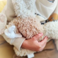 Image 1 of Doudou Inséparable Fluffy personnalisé