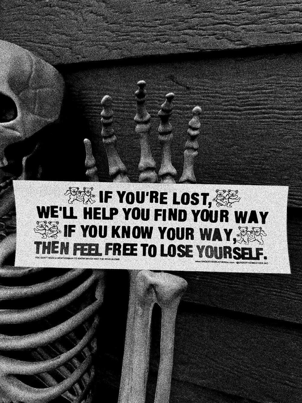 Are you lost? Bumper Stickers