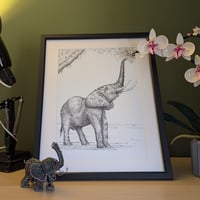 Image 1 of Elephant reaching