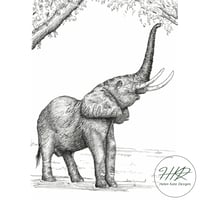 Image 2 of Elephant reaching