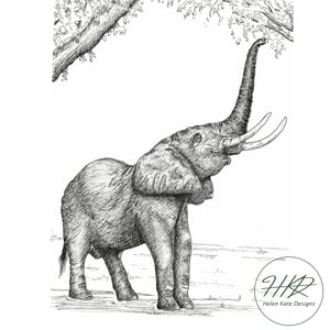 Image of Elephant reaching