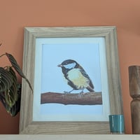 Image 1 of Great tit in colour
