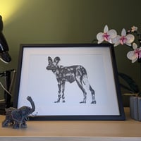 Image 1 of African painted dog standing