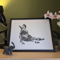 Image 1 of African painted dog gazing