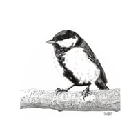 Image 2 of Chiaroscuro great tit