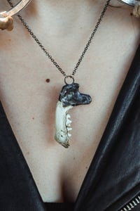 Image 2 of Silver Capped Jaw necklace