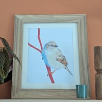 Image 1 of House sparrow in colour