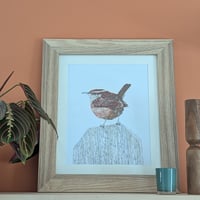 Image 1 of Wren in colour