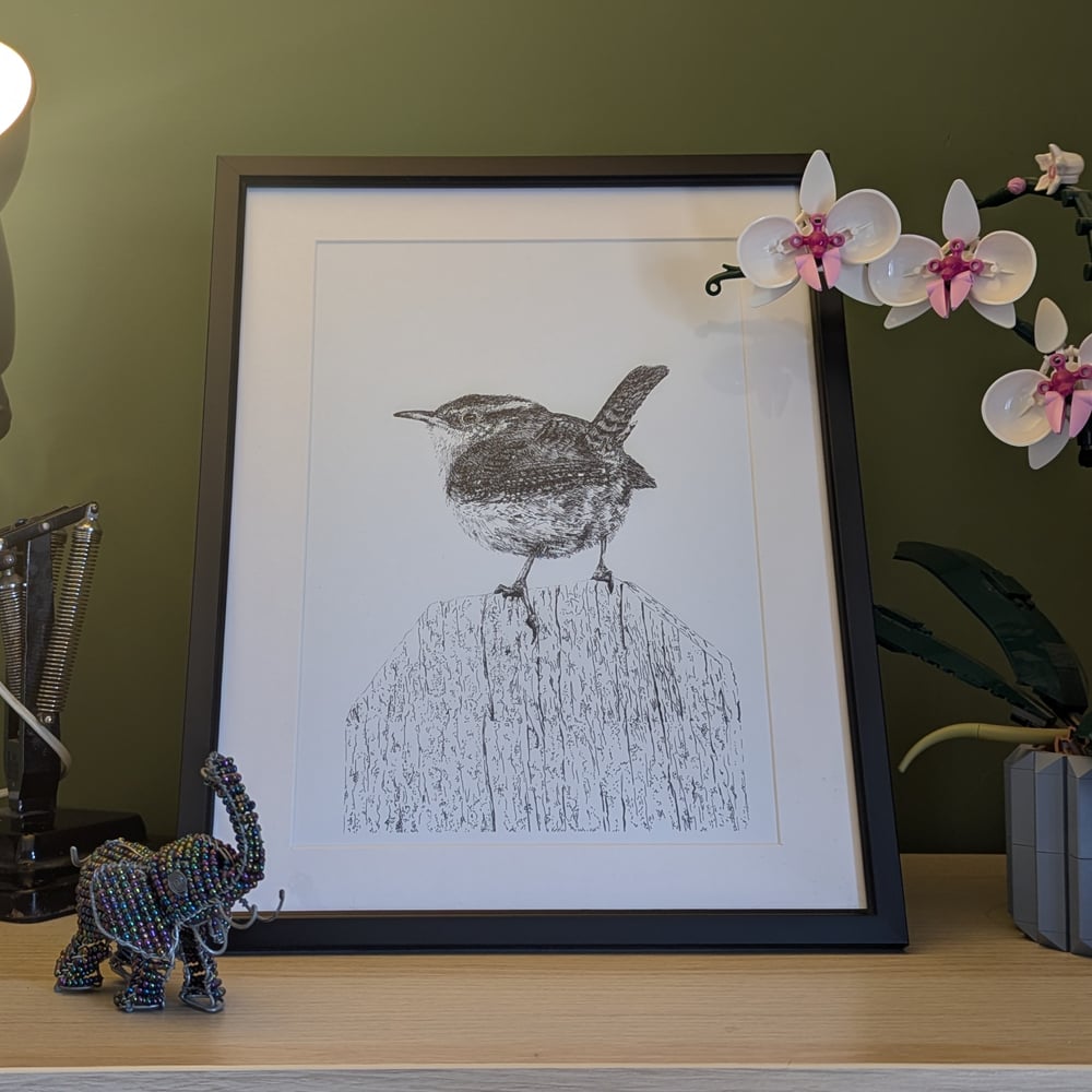 Image of Pen and Ink Wren