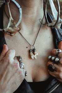 Image 1 of Silver Capped Elk Tooth necklace