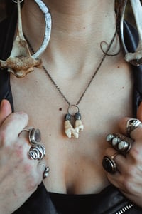 Image 2 of Silver Capped Elk Tooth necklace