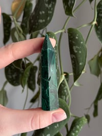 Image 2 of Malachite #3