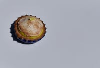 Image 3 of lemon meringue pie fridge magnet 