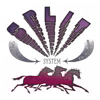 SPLIT SYSTEM - On The Edge / On The Loose 7"