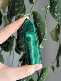 Image 1 of Malachite #1